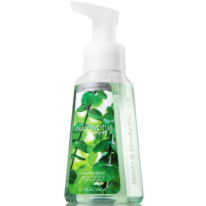 [해외]배쓰앤바디웍스 BBW Eucalyptus Mint Foaming Hand Soap